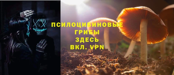 первитин Балахна