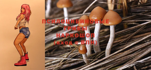 прущая мука Аркадак