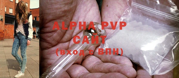 дурь Пересвет